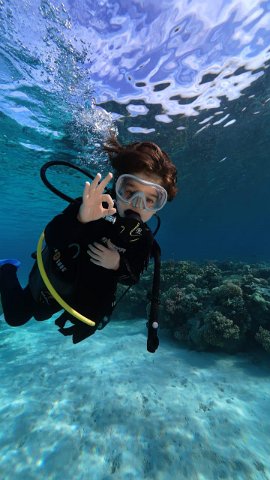 WhatsApp Image 2026-01-06 a ollie diving 